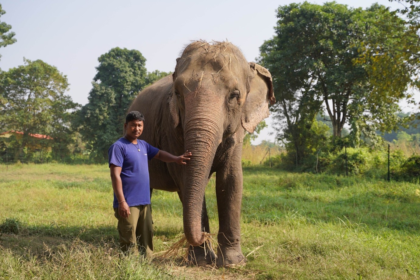 Champa Kali the Elephant